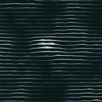 Frances‐Marie Uitti artist image