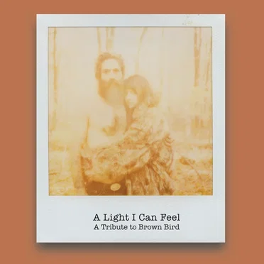 A Light I Can Feel: A Tribute to Brown Bird by Various Artists - album cover