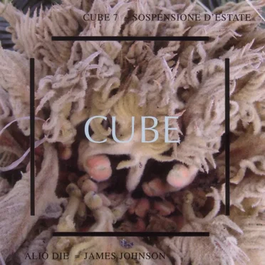 Cube 7: Sospensione d'estate