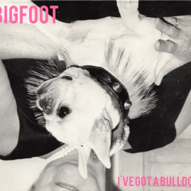I've Got A Bulldog by Bigfoot - album cover