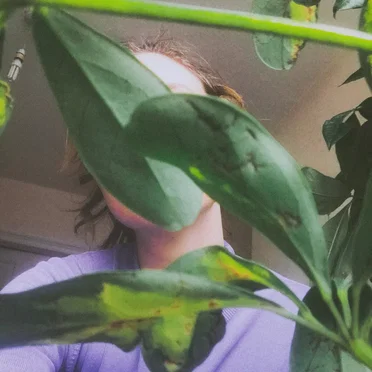 𝖘𝖕𝖗𝖎𝖓𝖌 𝖇𝖊𝖆𝖙𝖘 ☾ 𝟐𝟎𝟐𝟎