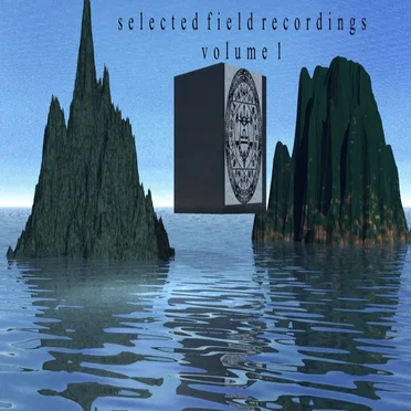 Selected field recordings volume 1 by SYSTEM OF CHAOS - album cover