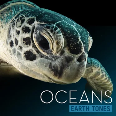 Oceans by Earth Tones - album cover