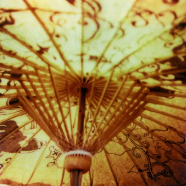 Parasol / Rabbit
