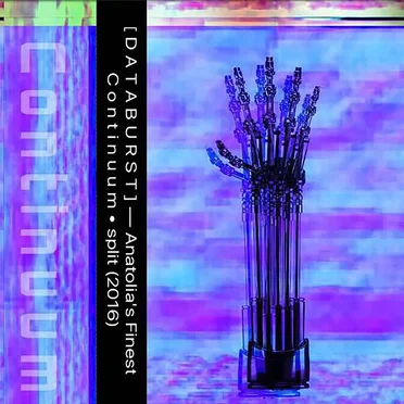 C o n t i n u u m