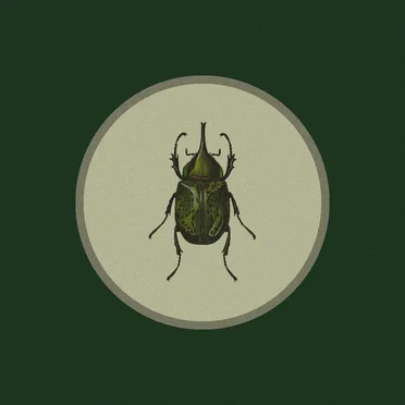 Cazador II by Cazador - album cover