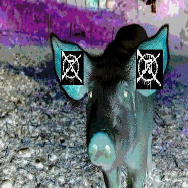 Y Ear
