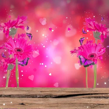 Pink Dreams by Spiritual Flower - album cover