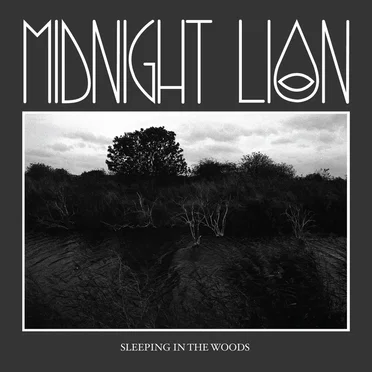 Sleeping in the Woods by Midnight Lion - album cover