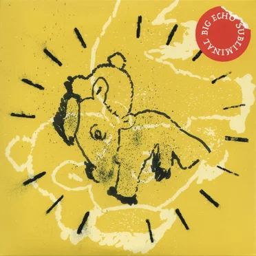 SUBLIMINAL BIG ECHO by Various Artists - album cover