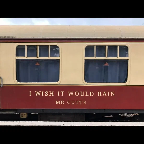 I Wish It Would Rain