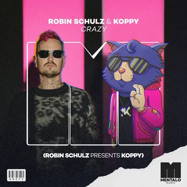 Crazy (extended mix)