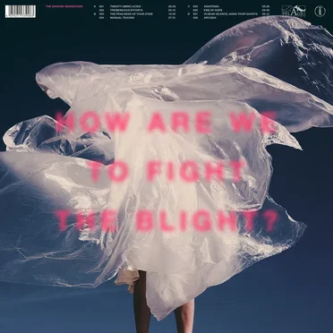 How Are We to Fight the Blight? by The Shaking Sensations - album cover