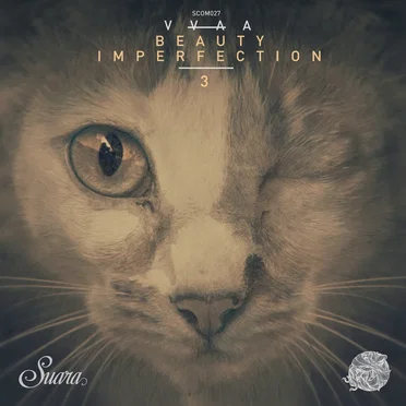 Beauty Imperfection 3 by Various Artists - album cover