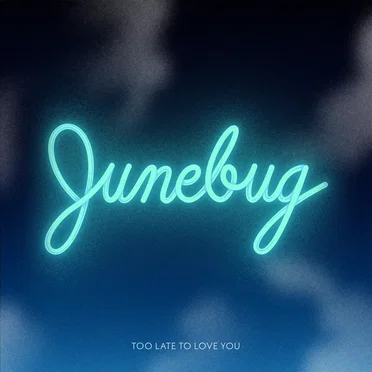 Too Late to Love You by Junebug - album cover