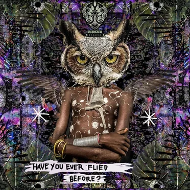 Have You Ever Flied Before? by Various Artists - album cover
