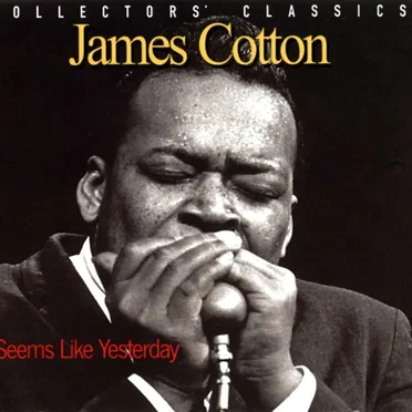 Seems Like Yesterday