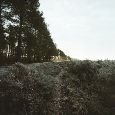 Still on This Journey