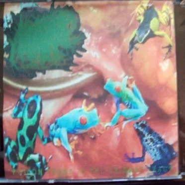 Metastatic Cystitis Of The Urethral-Bladder Structure Defined By Congenital And Uncertain Urological Conditions - Poison Frogs In The Urinary Tract