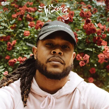 In Love by LeRoyce - album cover