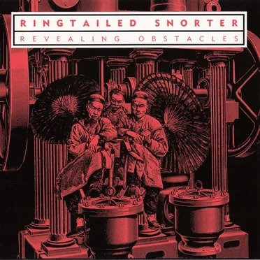 Revealing Obstacles by Ringtailed Snorter - album cover