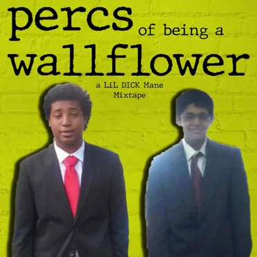Percs of Being a Wallflower by LiL DICK Mane - album cover