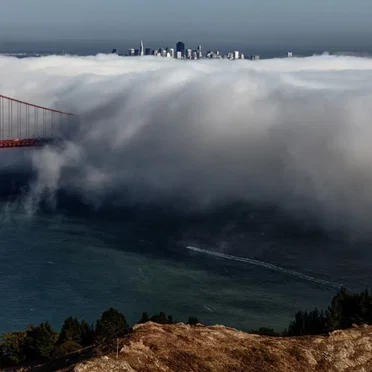 Fog Lifter