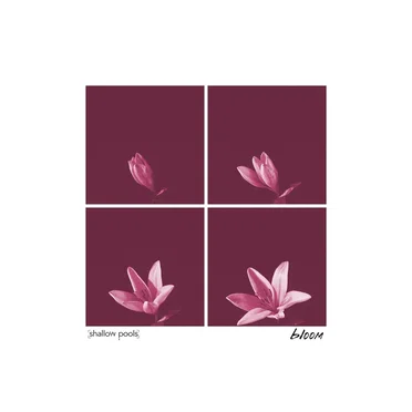 Bloom