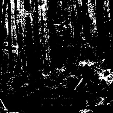 Hope by Darkest Birds - album cover