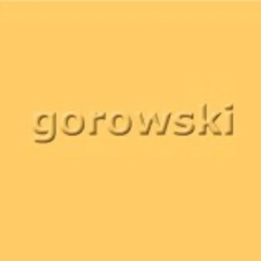 Summer 2005 by Gorowski - album cover