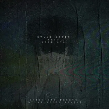 Tweet and Delete (Dylan Sitts Remix)