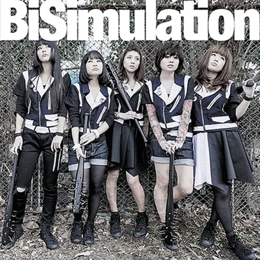 BiSimulation