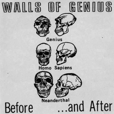 Before ...And after by Walls Of Genius - album cover