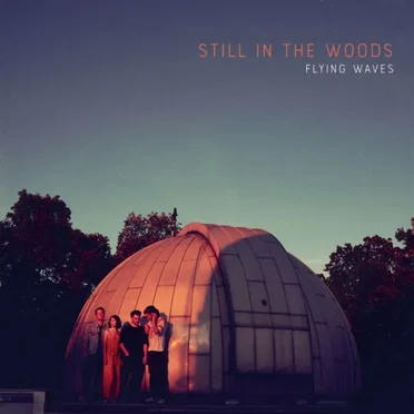 Still in the Woods