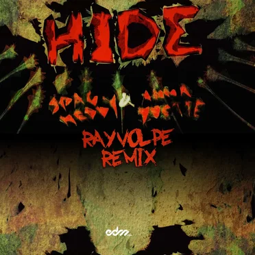Hide (Ray Volpe remix)