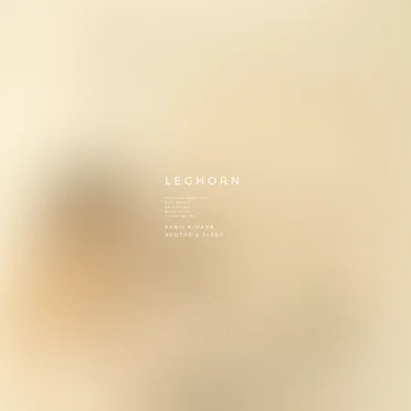 Leghorn