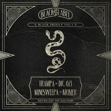 Black Friday, Vol. 1 by Various Artists - album cover