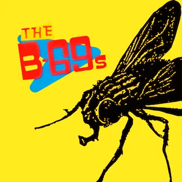 Inside Out by The B-69s - album cover