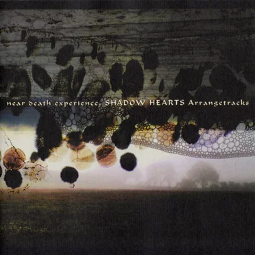 near death experience, SHADOW HEARTS Arrangetracks by Various Artists - album cover