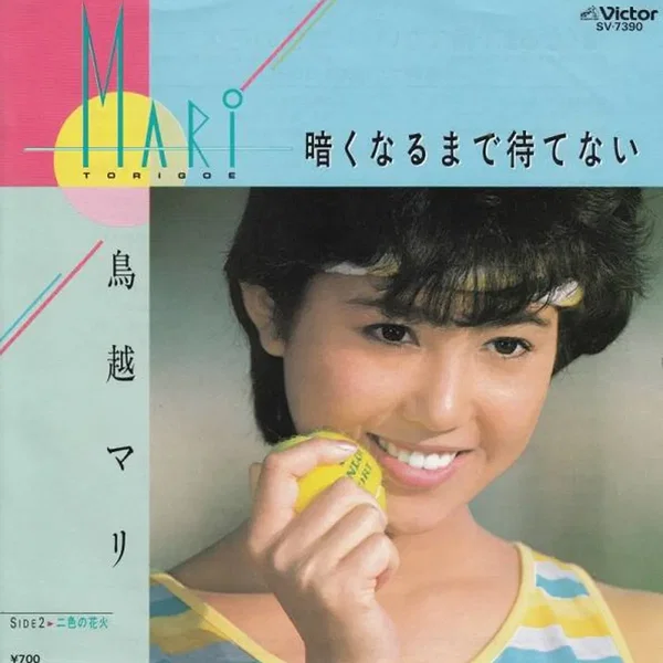 暗くなるまで待てない