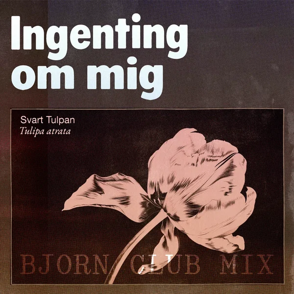 Ingenting om mig (Bjorn remix)