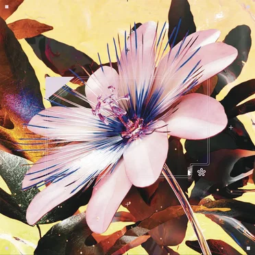 Passionfruit (Drake cover) by Prudence - album cover