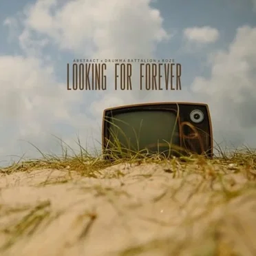 Looking for Forever