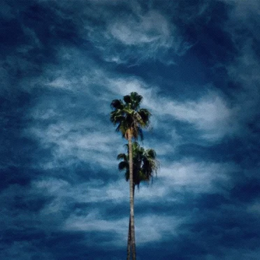 Demented Wings by Mike Lust - album cover
