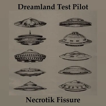 Dreamland Test Pilot / Necrotik Fissure