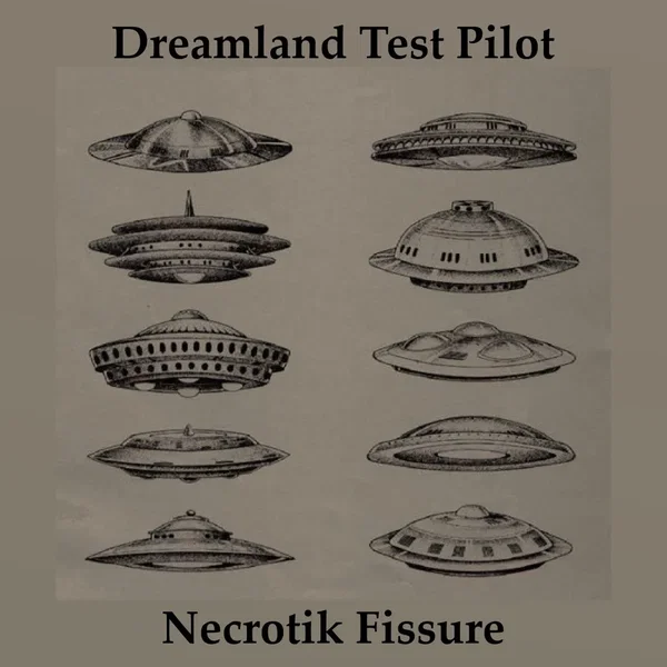 Dreamland Test Pilot / Necrotik Fissure