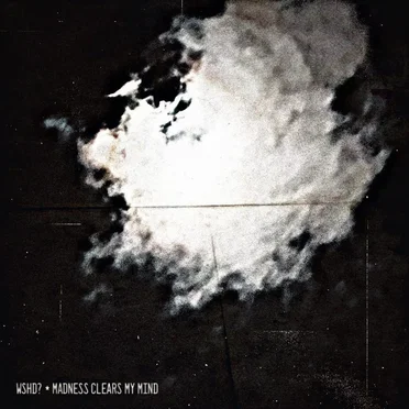 Madness Clears My Mind by Who Saw Her Die? - album cover