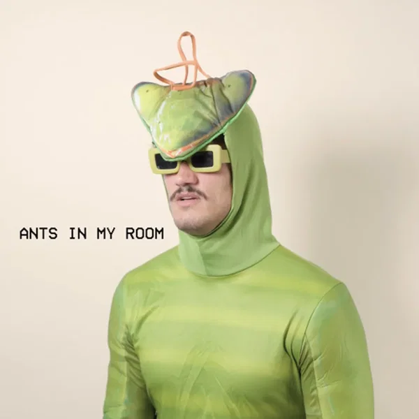 Ants in My Room