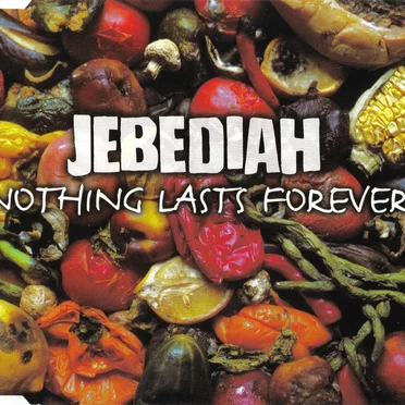 Nothing Lasts Forever