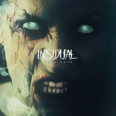 Pure Hate by Insidual - album cover